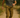 Australian male model in motion wearing khaki cargo pants with beige belt, walking on a sunlit dirt path surrounded by greenery. Captured in natural light with full view of the pants and rugged outdoor setting