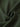 Dark green fabric with folds and texture
