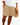 Man wearing khaki drawstring shorts with pockets, casual summer outfit