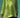 Person wearing a bright green top with a blurred background