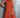 Person wearing an orange dress against a gray background