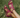 Comfort Wedge Sandals for Women | Ava