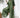 Marceline | Women's Button Front Wide Leg Jumpsuit